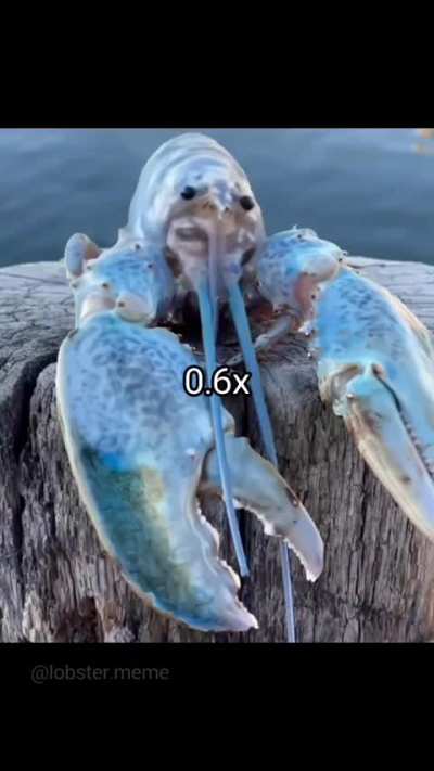 Instagram content or whatever