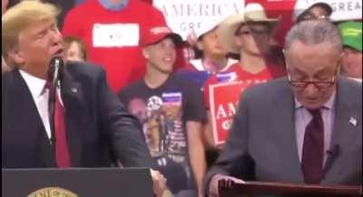 Trump’s Reaction On Chuck Schumer Accusing Him Of An “Erection”