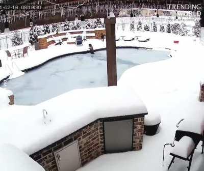 Woman rescues a dog which fell into pool and got trapped under ice.