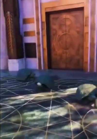 I guess they're not that slow