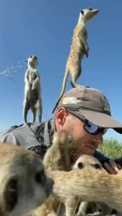 🔥 When you are a wildlife photographer the goal is to blend in with your surroundings so that you don't scare off the animals