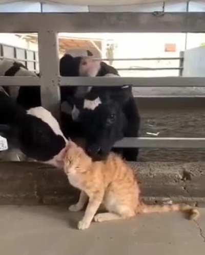 !!!!!!!!!!!!!! DELICIOUS !!!!!!!!!!!!!!!