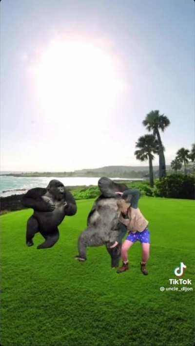 I could definitely do that