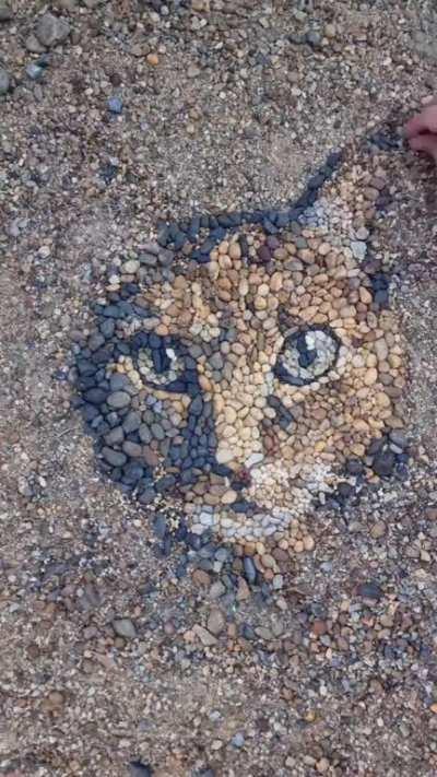 Creating a feline masterpiece from found stones