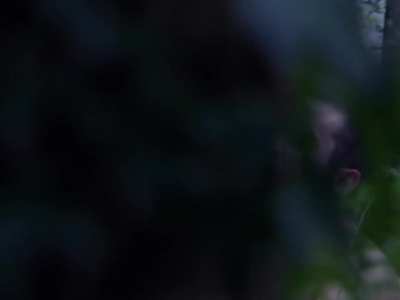 Natalie Dormer in ‘The Tudors’