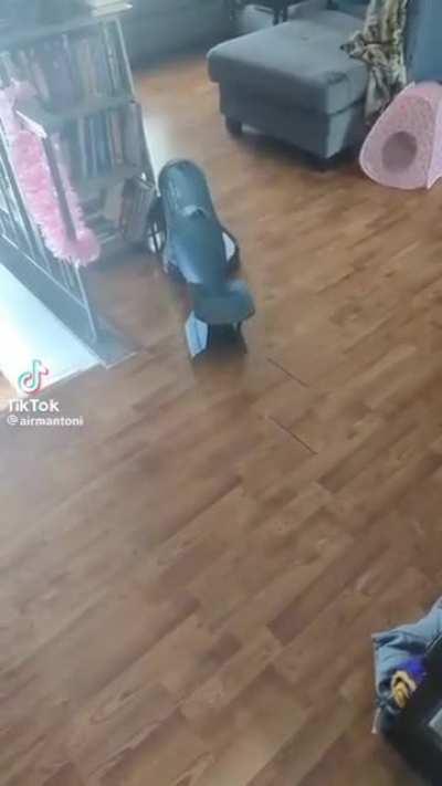 BeelcitosMemes - Video #3679