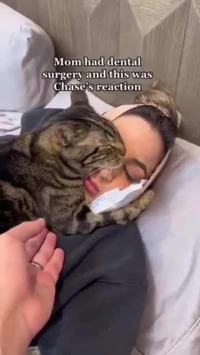 chase,the healer,the therapist,mum's emotional support