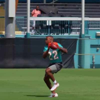 Ball hawk 🐬 get used to seeing this!