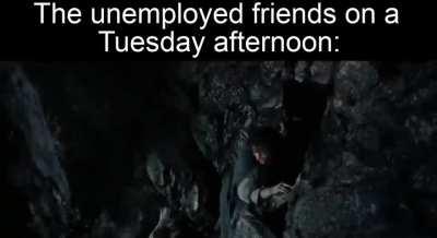 mf's are out on a quest