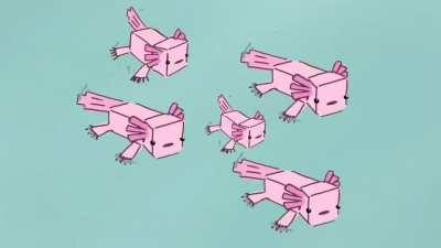 have some cute Axolotls UwU