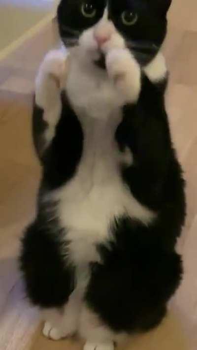 MRW i see yummy snacks