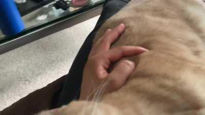 Brain cell crashed during her turn and had to reboot.