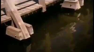 I just remembered this teaser that was deleted from Facebook that I was going to make a concept beat of. Do you think this could be a snippet of an upcoming song?