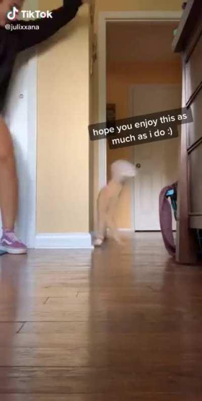 I love the way he bounces into the room.