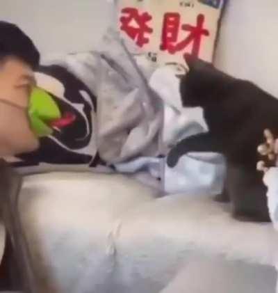 MLEM (I can't stop watching this)