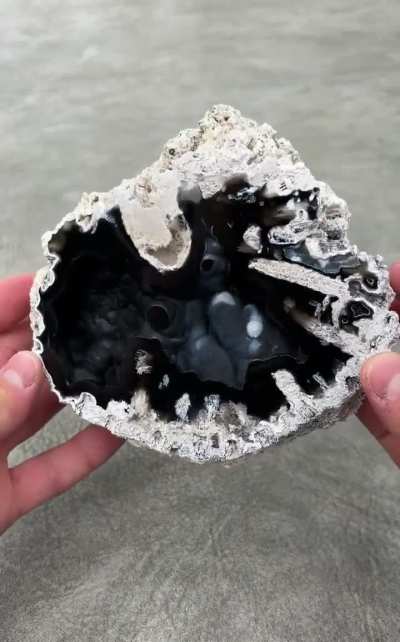 My biggest agatized coral head