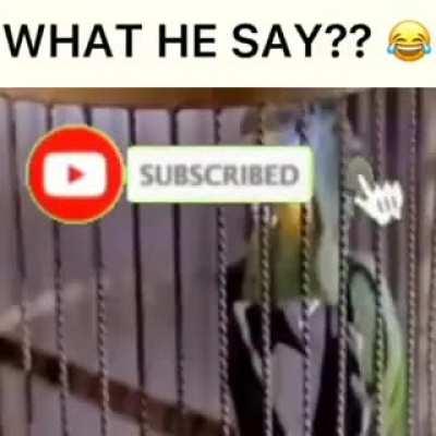 Here’s a funny meme other then the stupid Ronnie shit