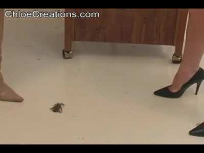 Angelique and Chloé crush