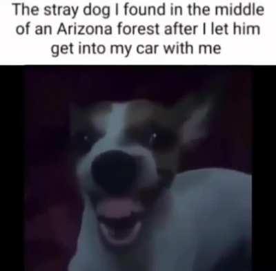 me when p̷̡̡̡̫̖̱͔͍͈̯̗̘̘̃̍̀̍̒͜h̴̛͙̠͍̦͇̝̫̠̔̏͂̈͗̈̍̃͒͗̒͆͘̕͝͝n̸̡̢͔̮͔̙̞̭̝̝͔͚͇̘̝͈̞̣̒́̾̀̈̚̚͜͠͠͠g̷̛͚̈̾́̿̎̈́̽̍̀̀̈͗͆̊͘͝l̸̗̦̥̺̝̘̦̗͊̉̂̓͊̉̀͂͐̈̂͆̅͌͝ừ̶̢̺͚̹͚̙̮̝̬̜͉͆͊̌̀̒͊̿́͆͌̊͊̚̕͠͝į̵̧̧͈̩̹͕͈̘̫͍̣͉̠̍̈́͋̍̊̽̌̋̉̾̅͗̑̈̃̓͠ ̴̧͇̩̳̟̭̩̦̻͚̹̭̓̐̽̒̌̌͑̐͛̓̃̒̒̇̚͝m̷͍̌͊́̃͝ĝ̵̱̩͕̪̼̑́̽͐̓̅̔̐̔̔͝͝ͅ