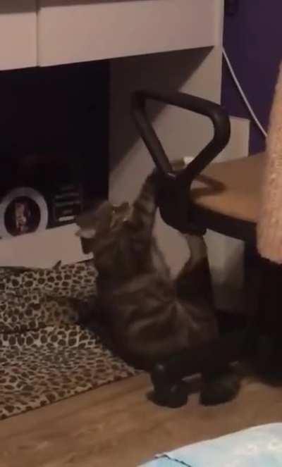 A representation of how my life is going