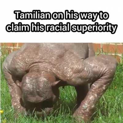 Joseph do be lookin fresh