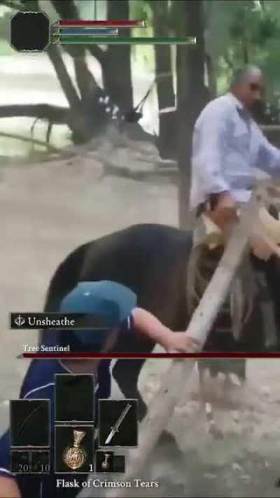 Битва с боссом