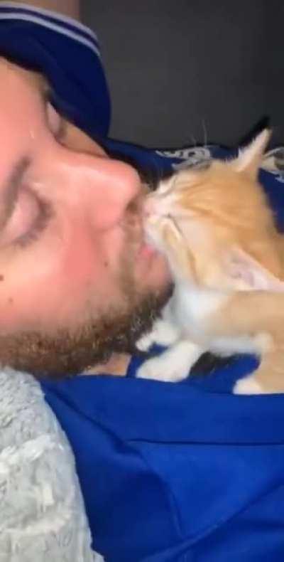 eViL h0UsECat FEAsTS 0N cOrPSe oF DeD cANAdiAn