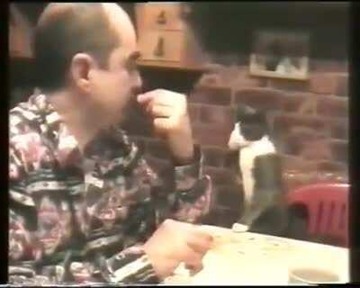 Cat communicates with its deaf owner using sign language