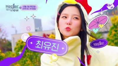 [211122] Chicken Yujin