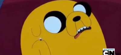 Ömcek sokmuş sarı köpke