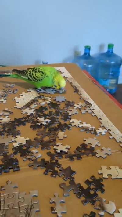 They strike when you least expect it.