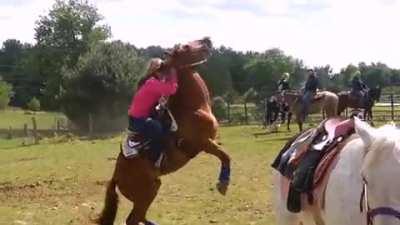 Arabians at the earliest sign of danger.