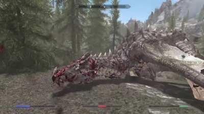 Finally defeating the Dragon