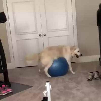 Stuck on a ball.