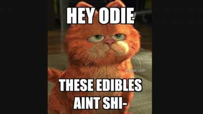 Garfield ate the wrong lasagna 😳