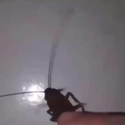 What no it... No why