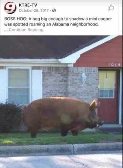 When will Arkansas attempt the second invasion?