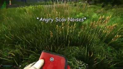 When you CMS next to a scav