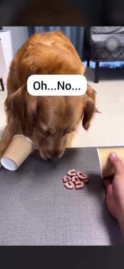This dog is too smart