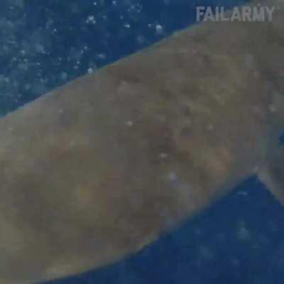 Sure, let's fight with 2 sharks for a tuna...