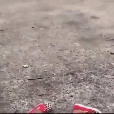 Nah bruh cause these kids wilding this gotta be Florida no cap 🤣