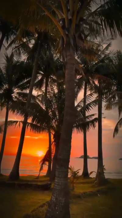 Lonely beach Koh Chang, Thailand.