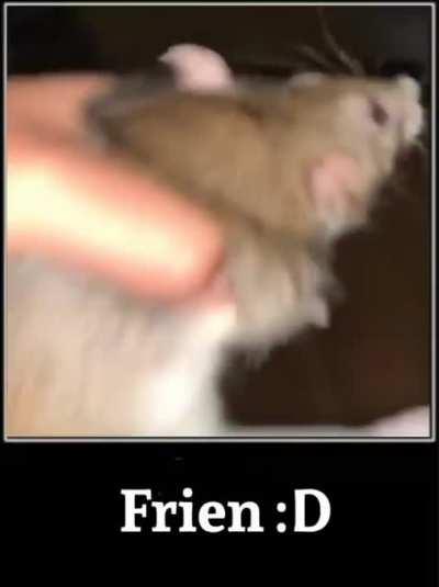 Wholesome Meme (Imagine if this was a rickroll lol)