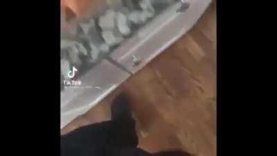 21st century humor at its finest