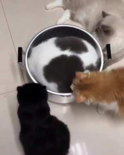 This looks like a good hiding spot