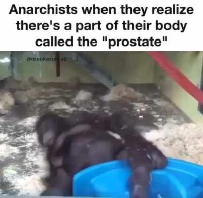 CUT THIS ORGAN OUT. CUT THIS ORGAN OUT. CUT THIS ORGAN OUT.