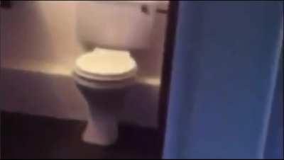 Just made this earlier