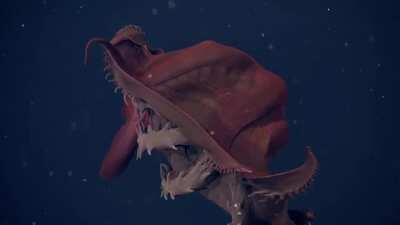 The Vampire Squid is a creature from hell