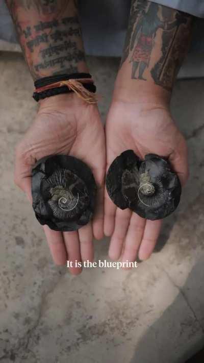 Least scientific bharat educational video 🇮🇳💪