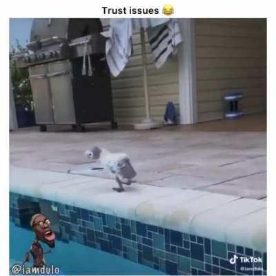 Only a drone could exhibit this level of intelligence